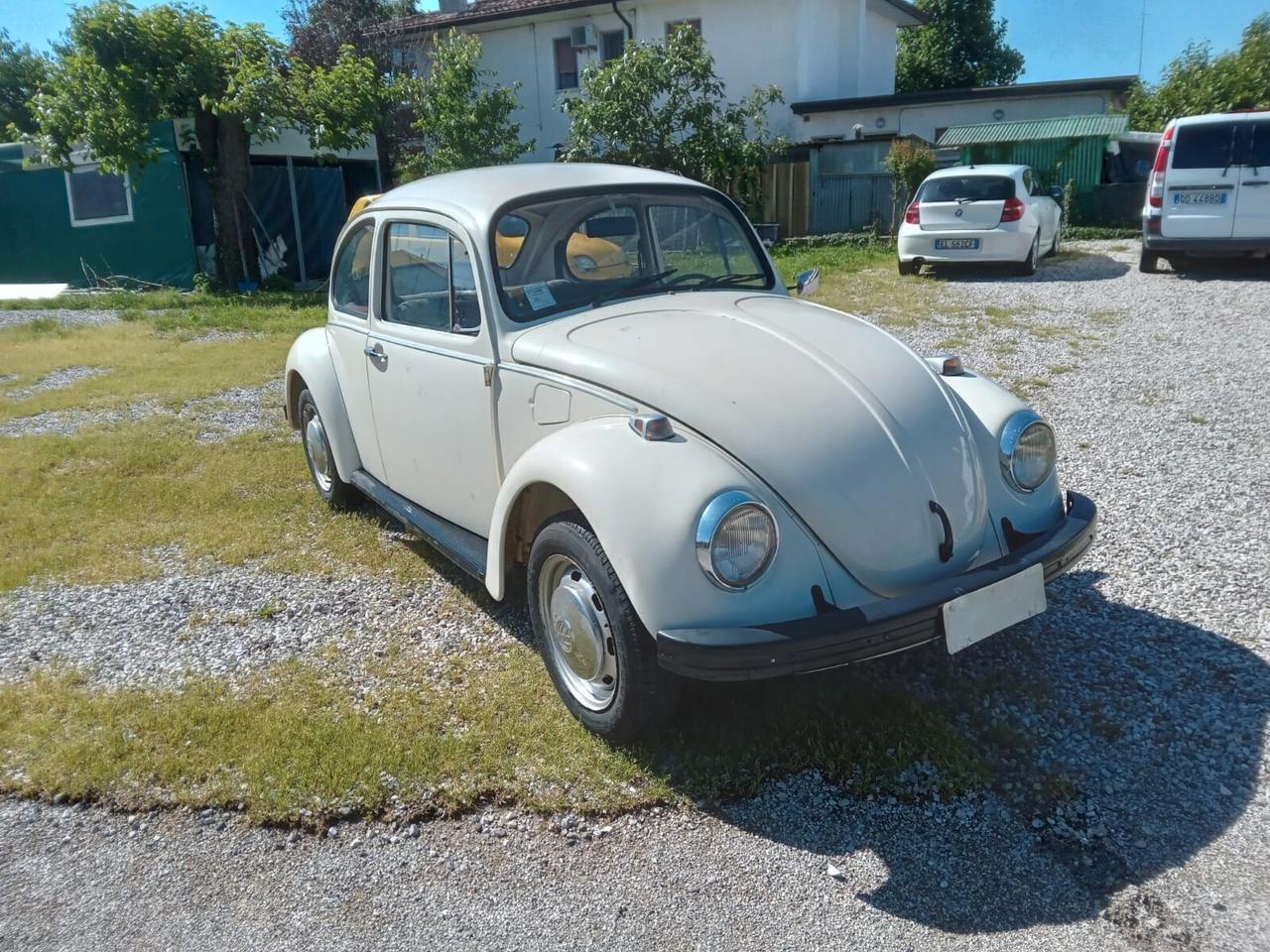 Volkswagen Maggiolino