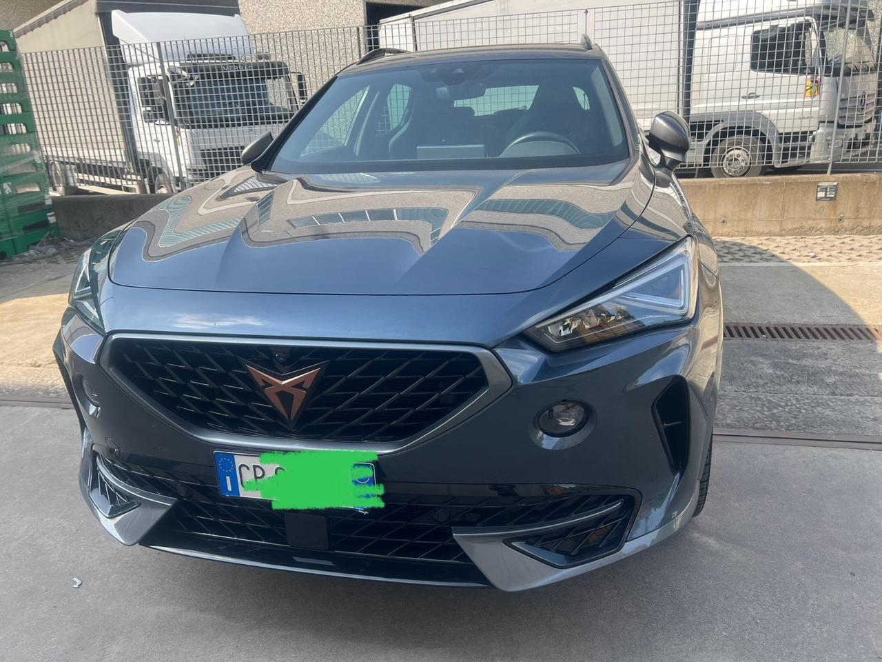 Cupra Formentor 2.0 TSI 4Drive DSG Tribe Edition Unicoproprietario