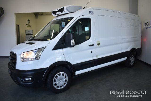 FORD Transit 350 2.0TDCi EcoBlue MHEV 170CV PL-TM Isotermico