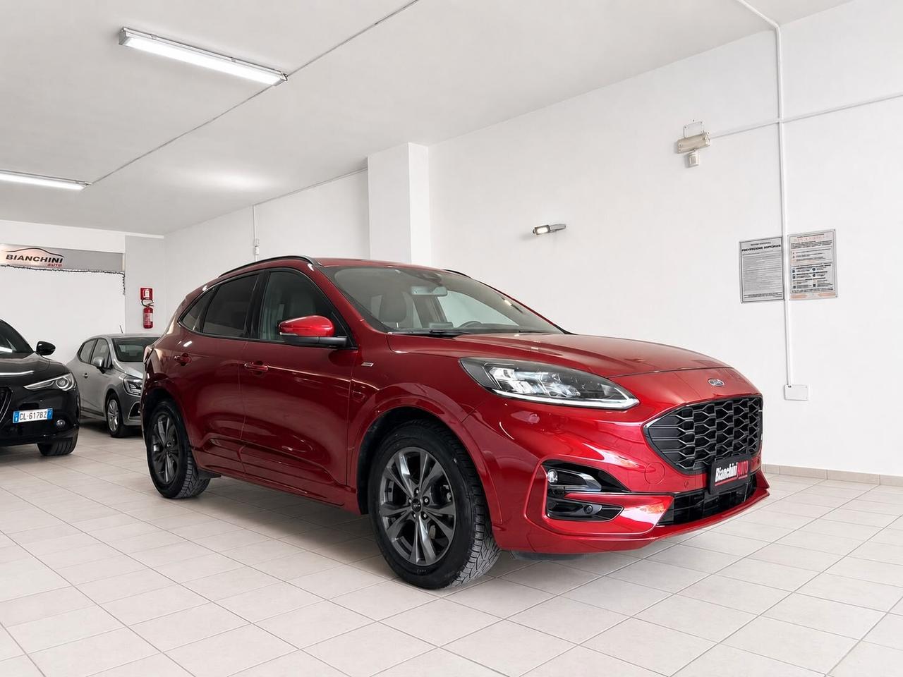 Ford Kuga 1.5 EcoBlue 120 CV aut. 2WD ST-Line X