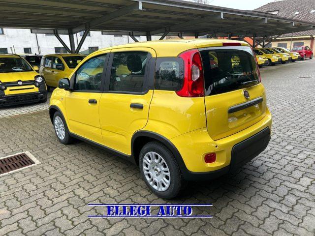 FIAT Panda PROMO FINANZ 1.0 HYBRID 5 POSTI +PACK CITY KM 0