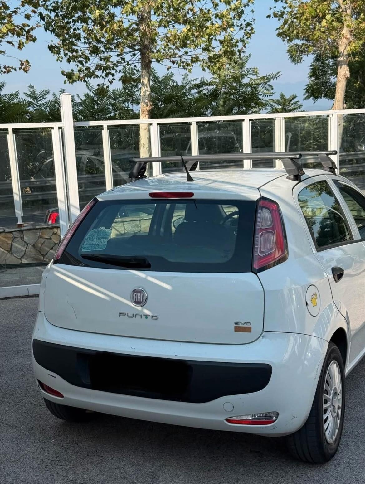 Fiat Punto Evo 1.4 5 porte Emotion GPL
