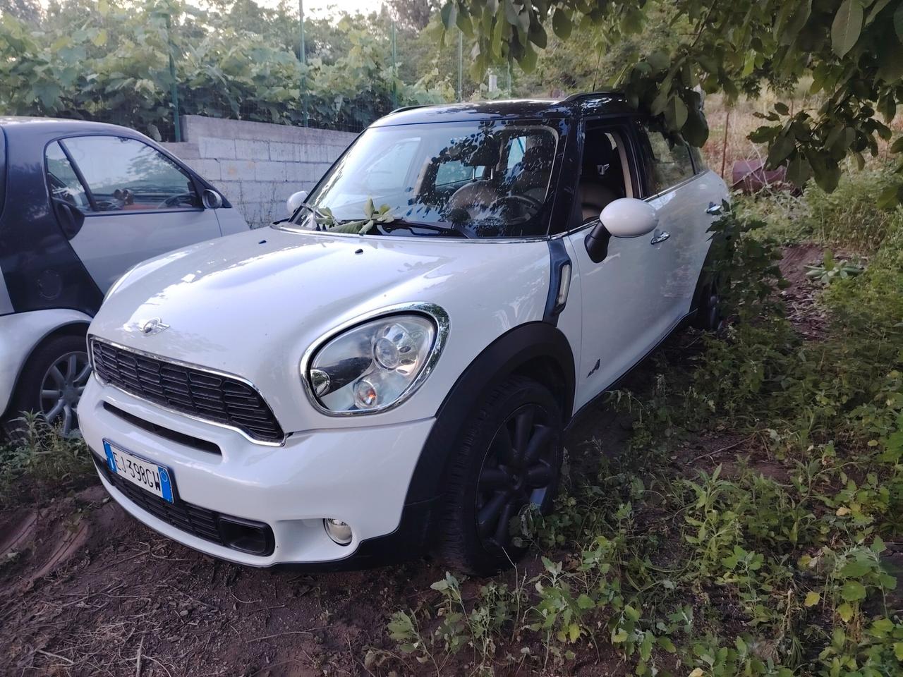 Mini Cooper SD Countryman Mini 2.0 Cooper D Countryman ALL4 Automatica