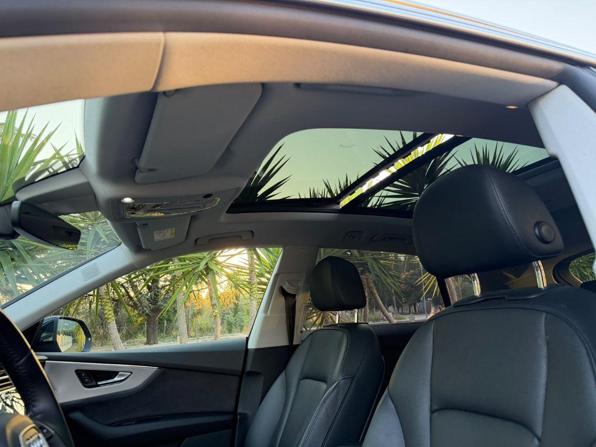 AUDI - Q8 - 50 TDI 286 CV quattro tiptronic Sport