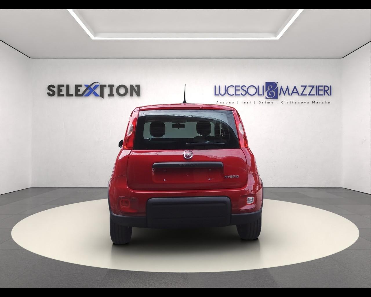 FIAT Panda 3ª serie - Panda 1.0 FireFly S&S Hybrid