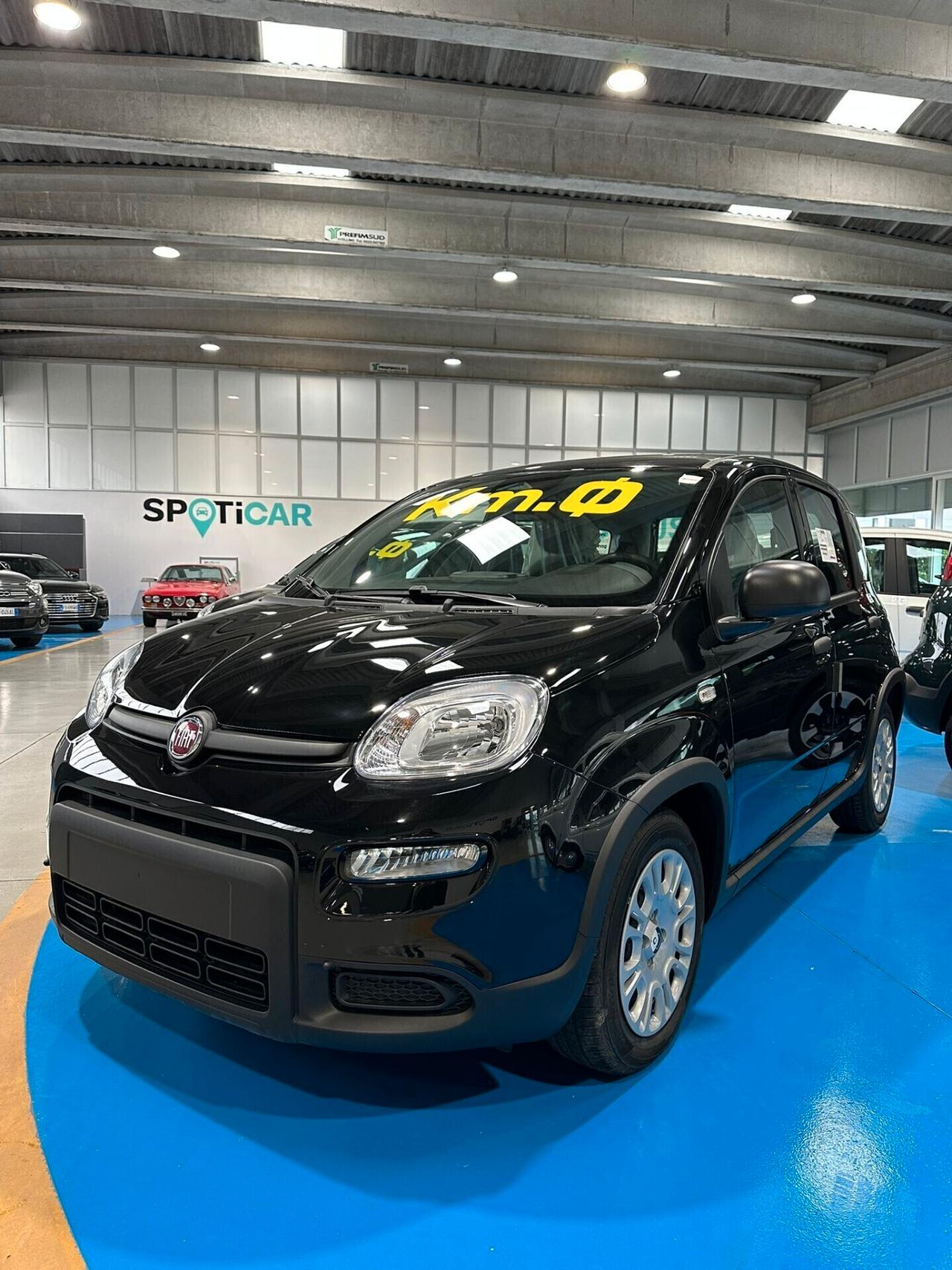 FIAT panda NUOVA PANDINA KM 0 2024