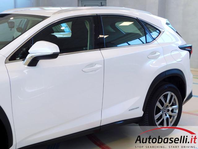 LEXUS NX 300 NX300H HYBRID BUSINESS AUTOMATICA CVT