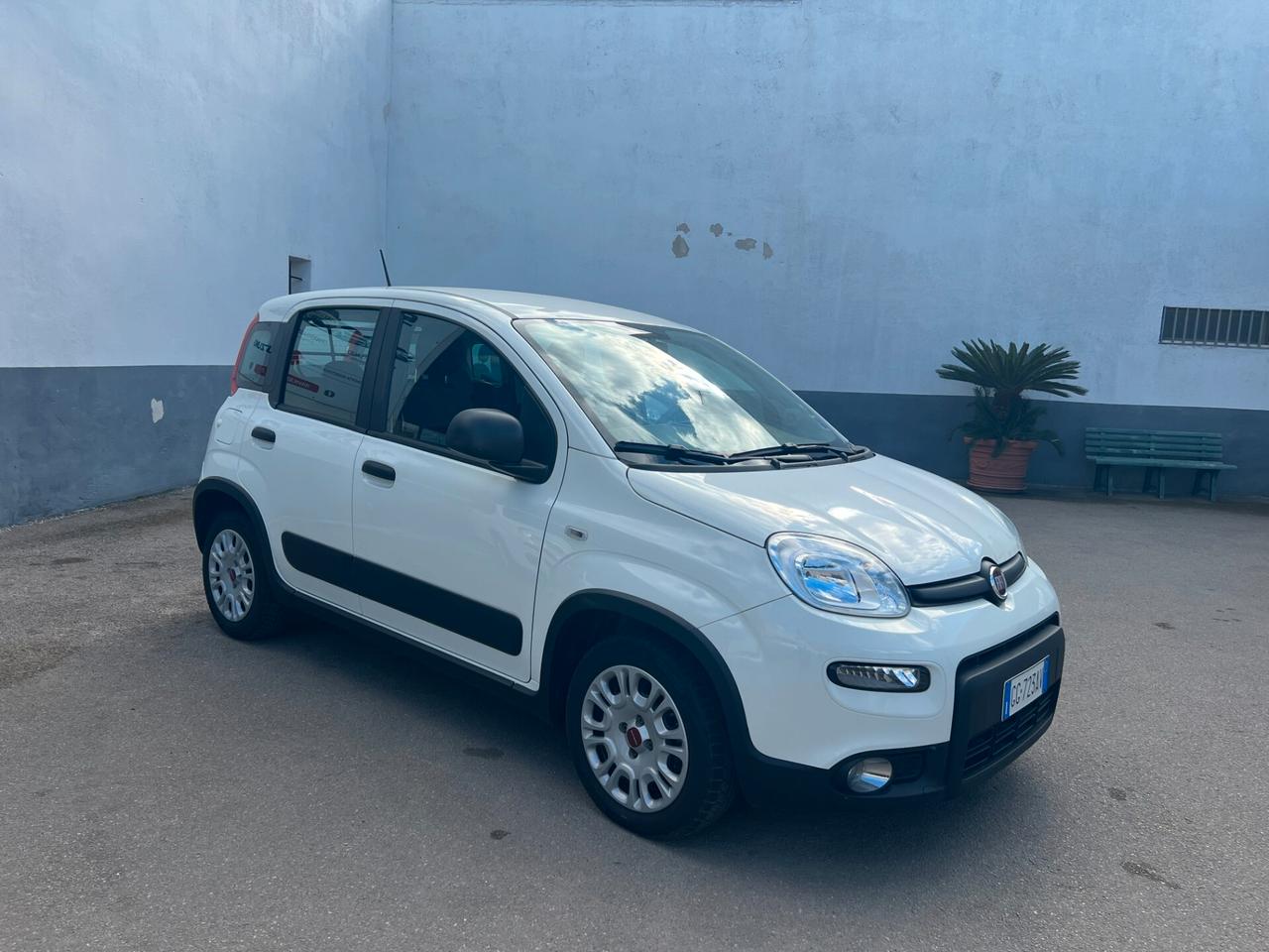 Fiat Panda Fiat Panda VAN 1.0 HYBRID STREET 70CV 4P.TI SERIE 4 E6D