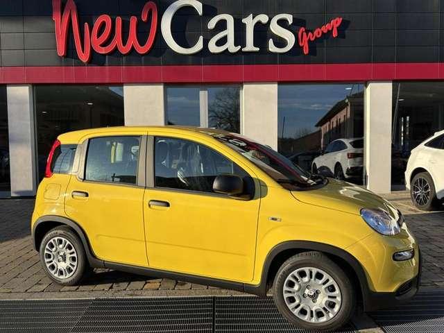 Fiat Panda 1.0 FireFly S&S Hybrid Pandina-LANE ASSIST-14"