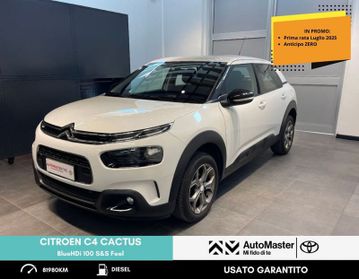 Citroën C4 Cactus BlueHDi 100 S&S Feel