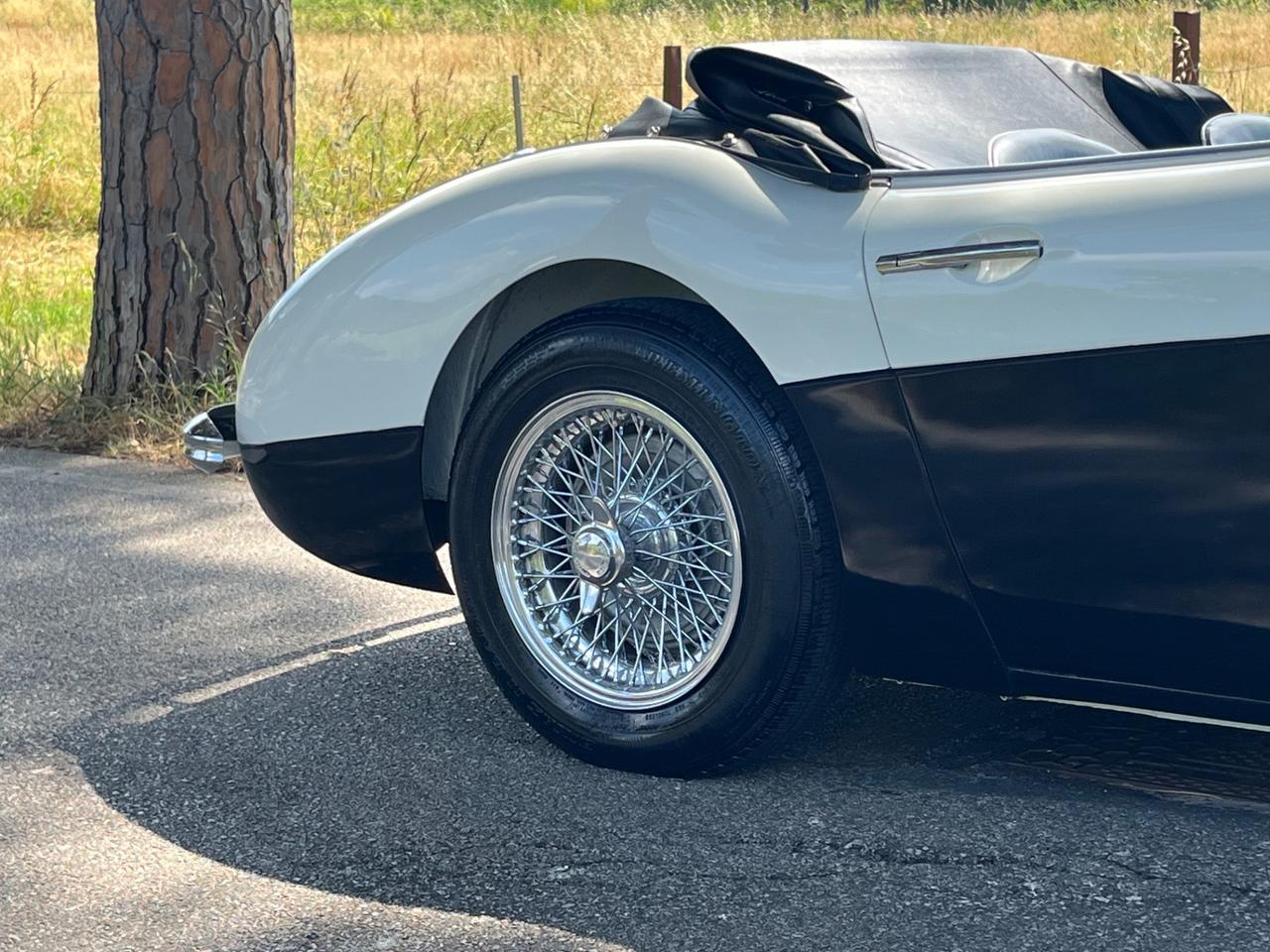 Austin Healey 100/6 BN4 2700 ASI