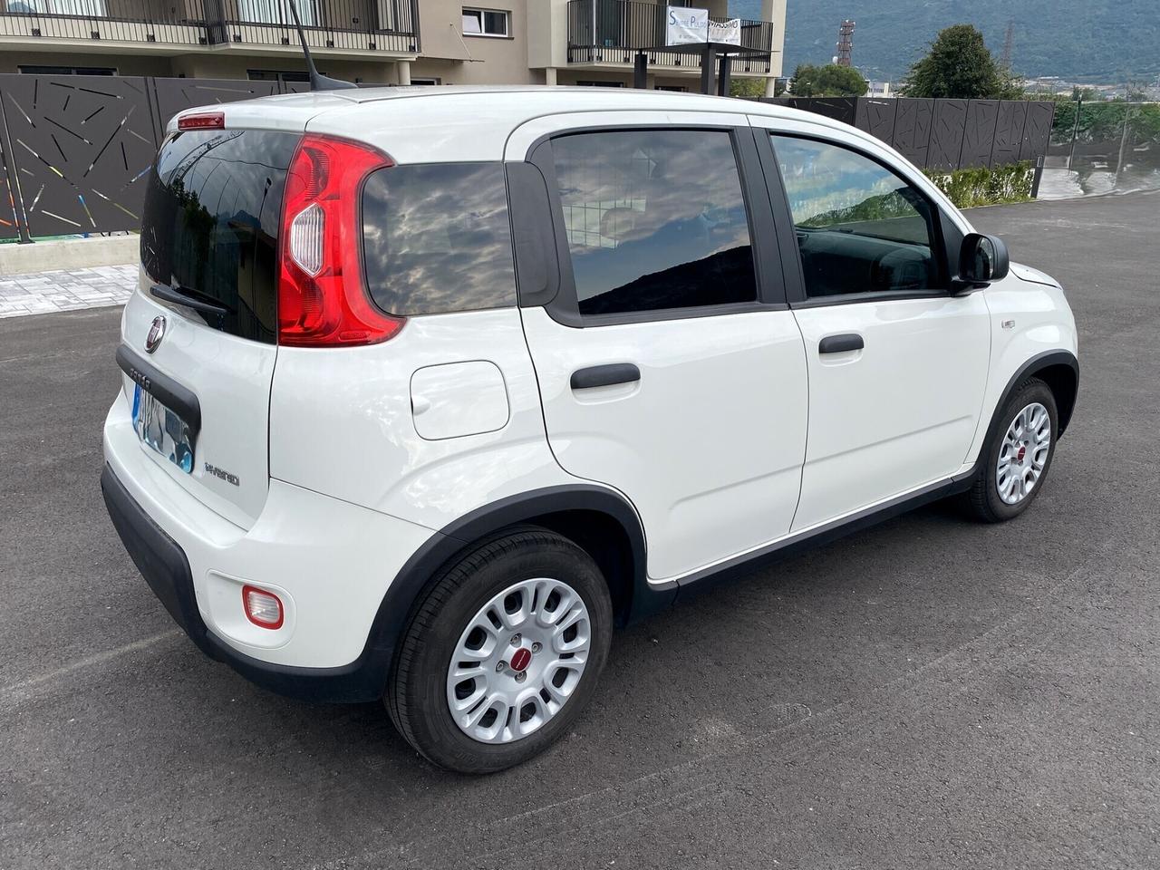Fiat Panda 1.0 Hybrid Van 2 posti - GRANDE SPAZIO !!!