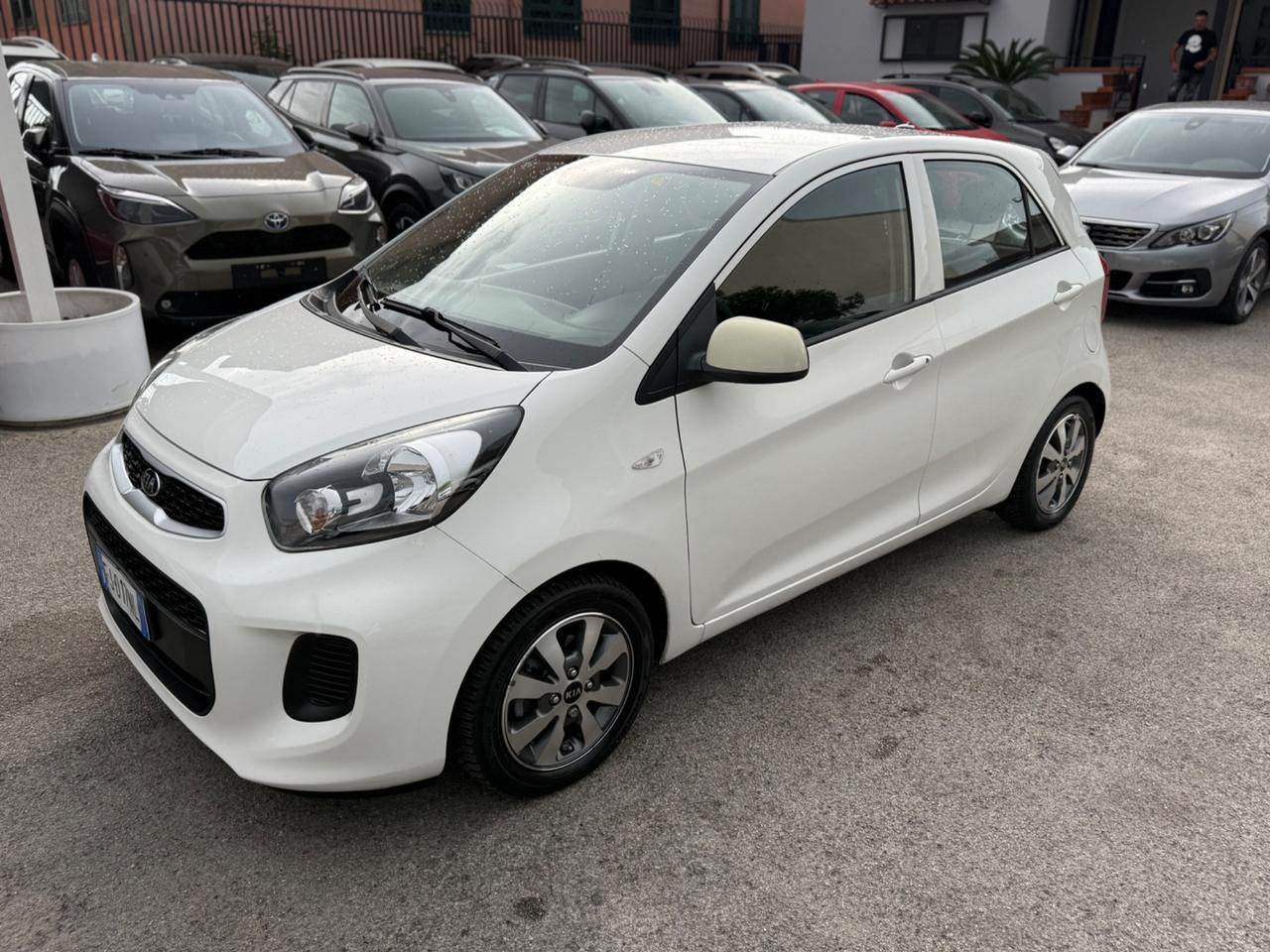 Kia Picanto 1.0 12V EcoGPL 5 porte Active Collection