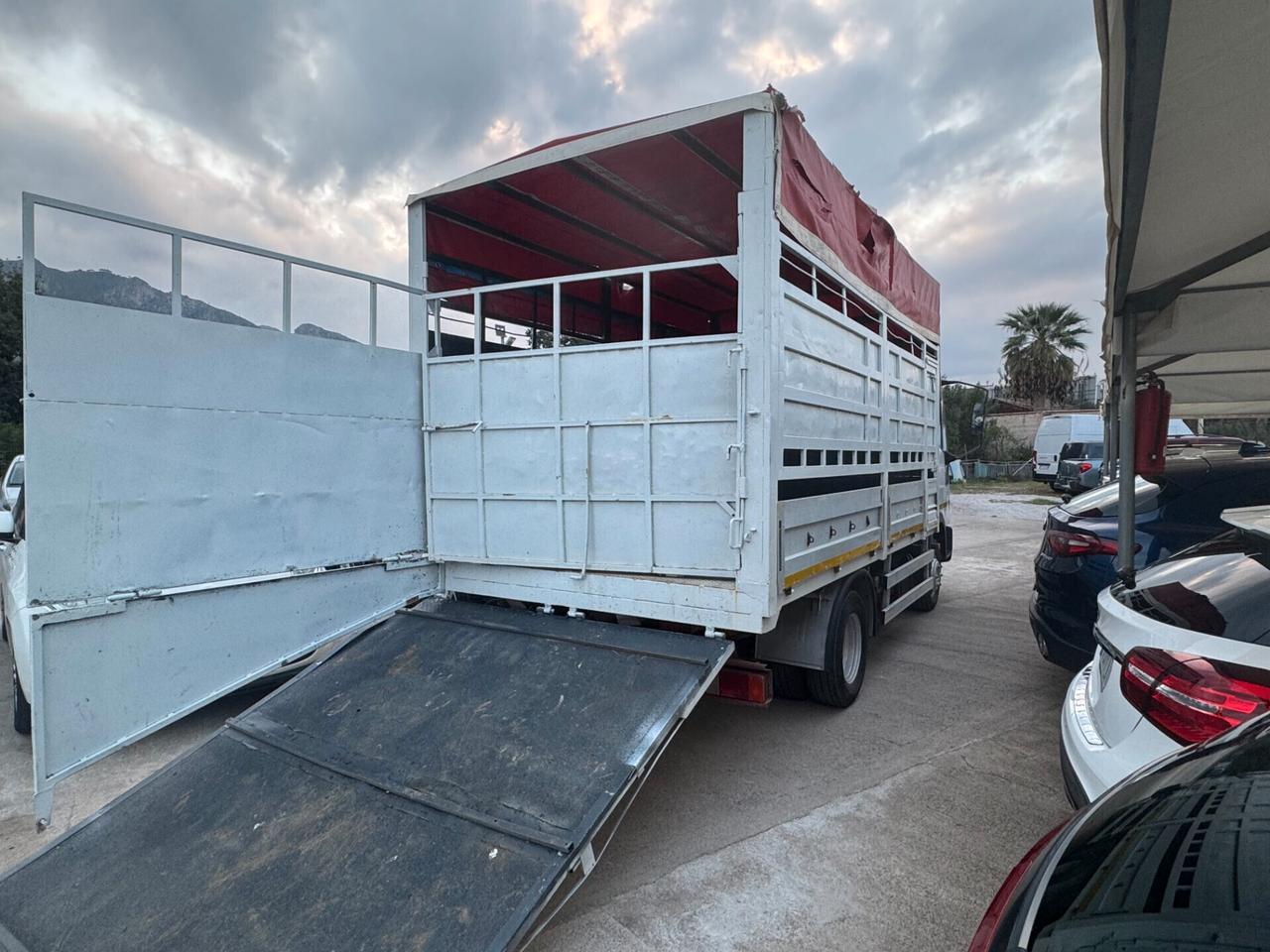 Iveco Eurocargo per trasporto di animali