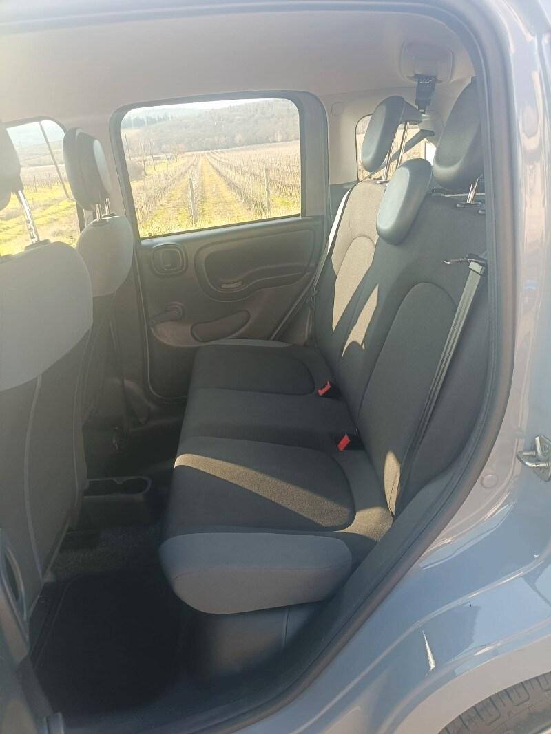 FIAT Panda 3ª serie Panda 1.0 FireFly S&S Hybrid