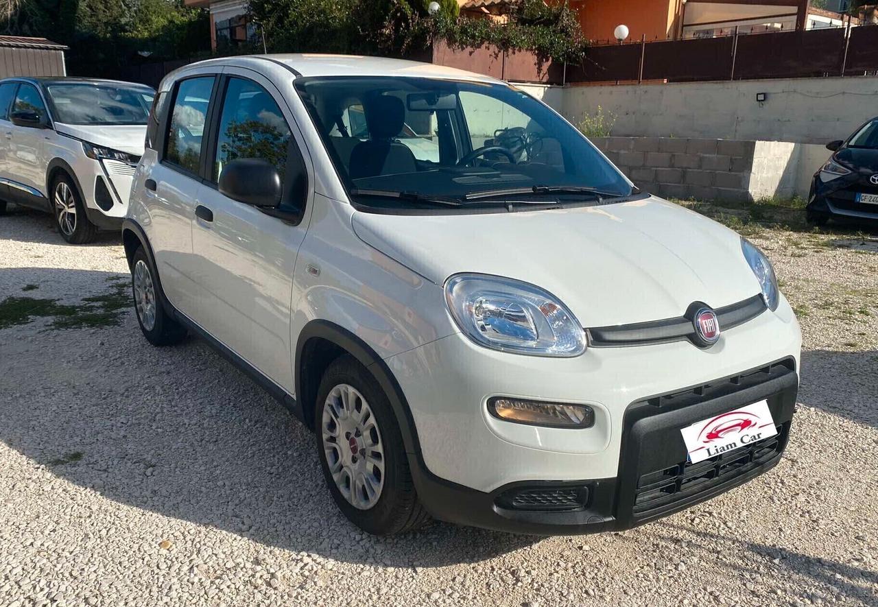 Fiat Panda 1.0 Hybrid City Life Ok Neop.