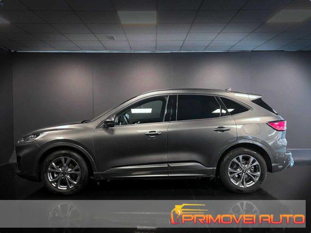 FORD Kuga 2.0 EcoBlue 120 CV aut. 2WD ST-Line