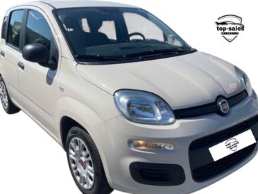 Fiat Panda 1.2 Lounge Perfetta Si Neopatentati