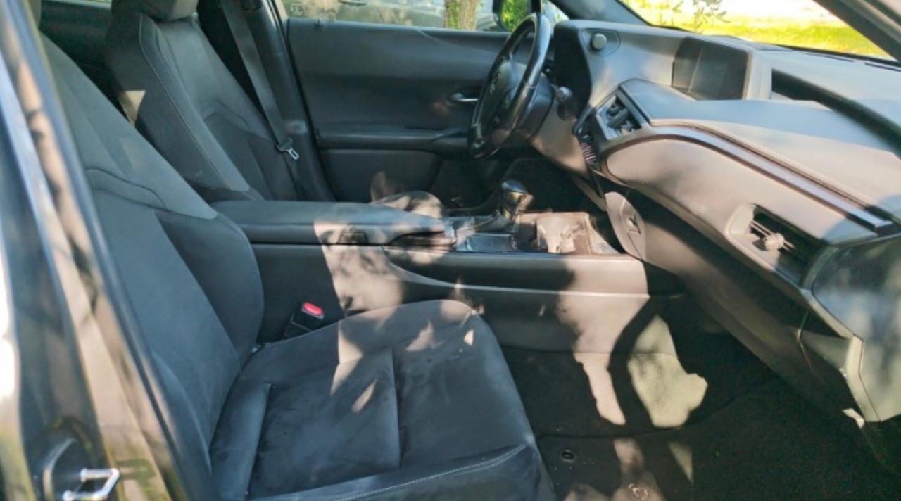 Lexus UX 250h business