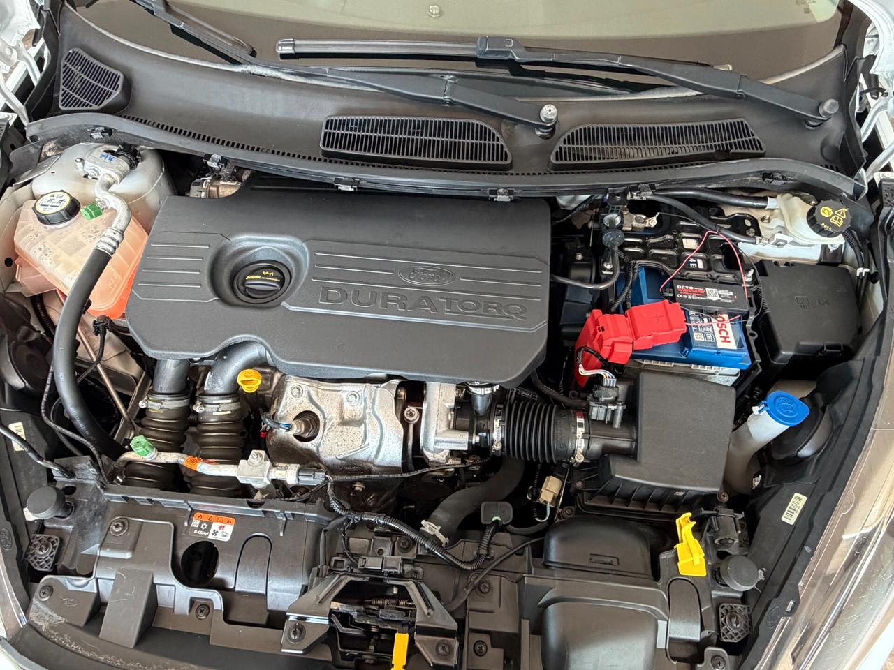 Ford Fiesta 1.5 TDCI 75 cv. 3 porte PLUS
