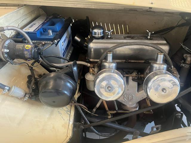 MG TD Midget 1250 MG Club ORO ASI-CRS