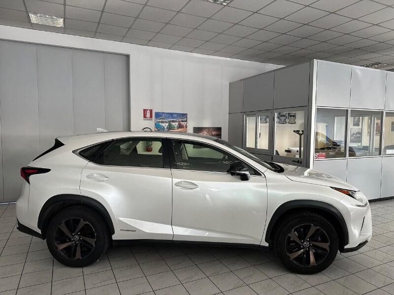LEXUS NX 1ª serie NX Hybrid 4WD F-Sport
