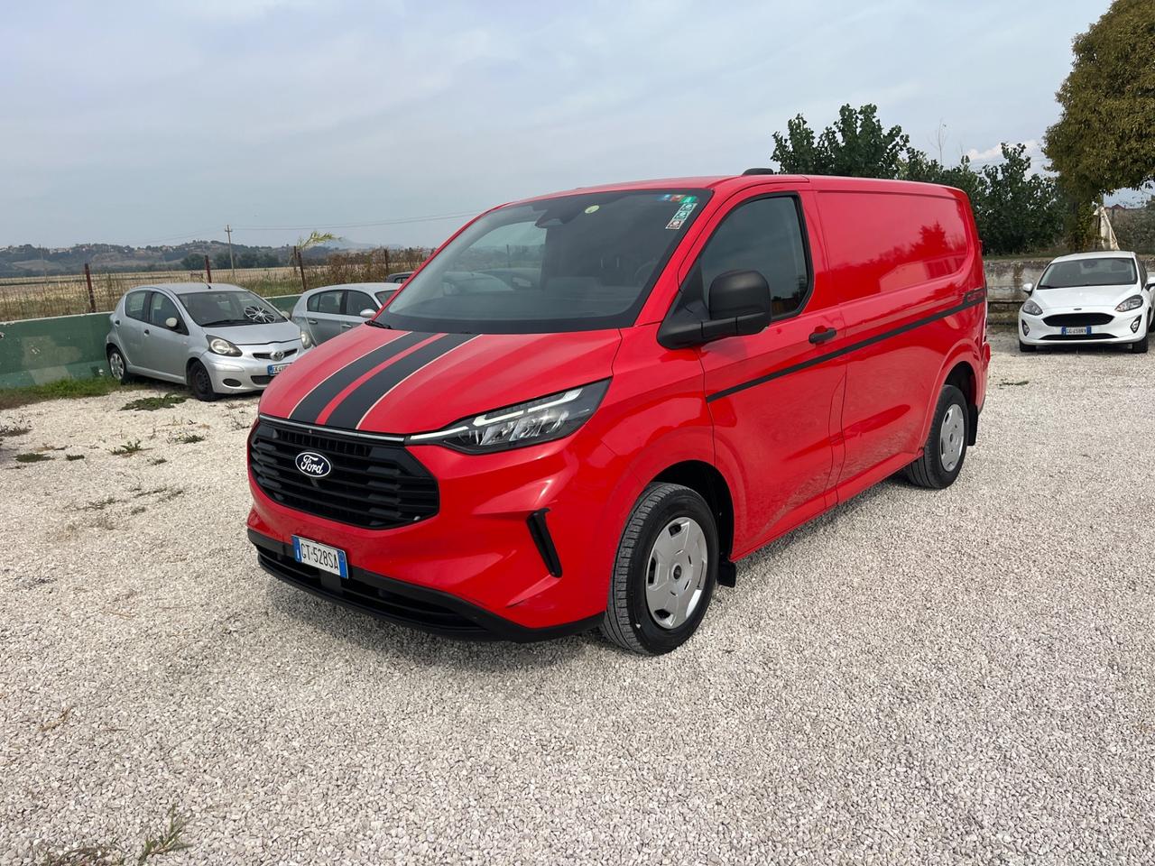 Ford Transit 310 2.0TDCi EcoBlue PM-TM Furgone Trend