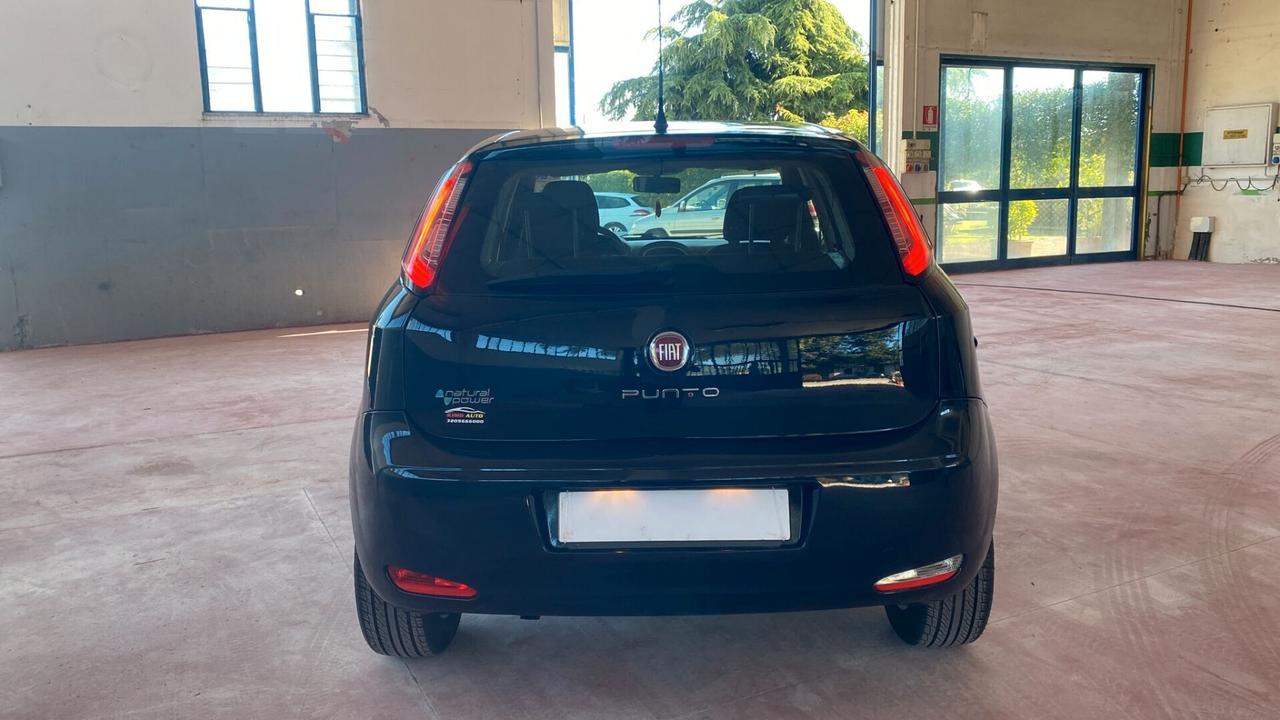 Fiat Punto 1.4 8V 5 porte Natural Power Lounge
