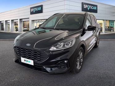 Ford Kuga 1.5 EcoBlue 120CV 2WD ST-Line