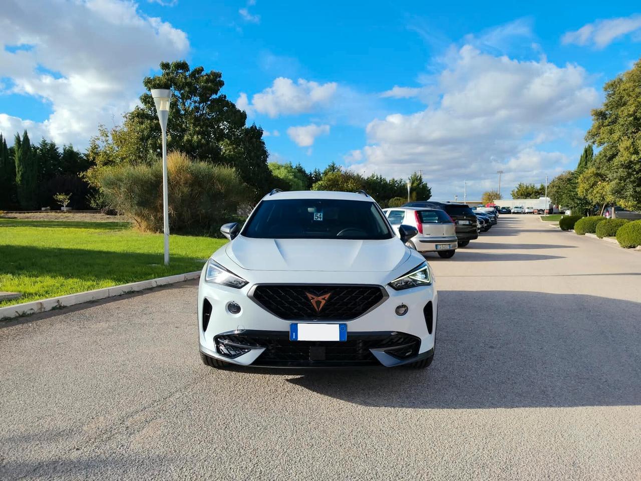 Cupra Formentor 2.0 TDI 4Drive DSG