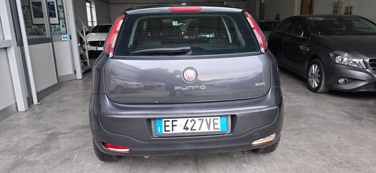Fiat Punto Evo 1.2 5 porte S&S Active