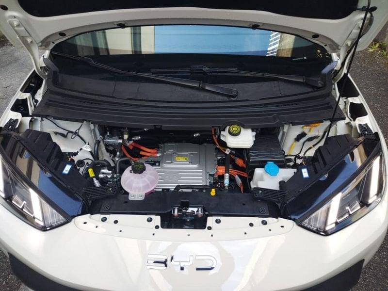 BYD Dolphin Surf Comfort