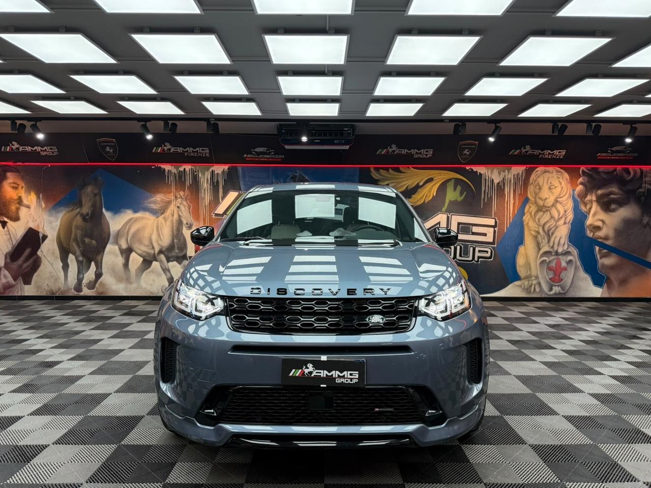 Land Rover Discovery Sport 2.0 TD4 163 CV AWD Auto R-Dynamic HSE (288)