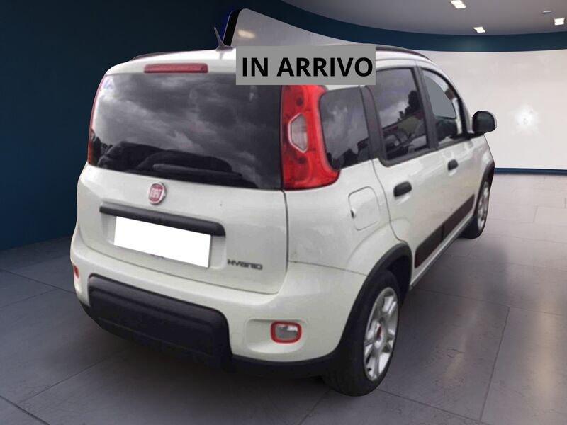 FIAT Panda Panda 1.0 FireFly 70cv S&S Hybrid