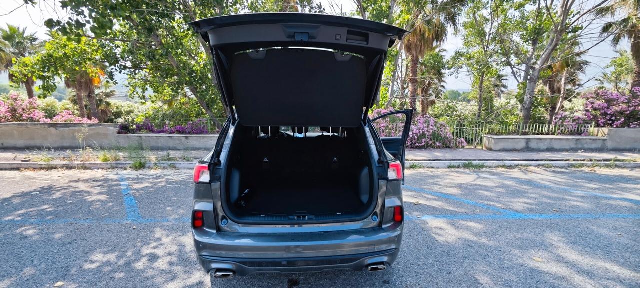 Ford Kuga 2.0 EcoBlue 120 CV aut. 2WD ST-Line