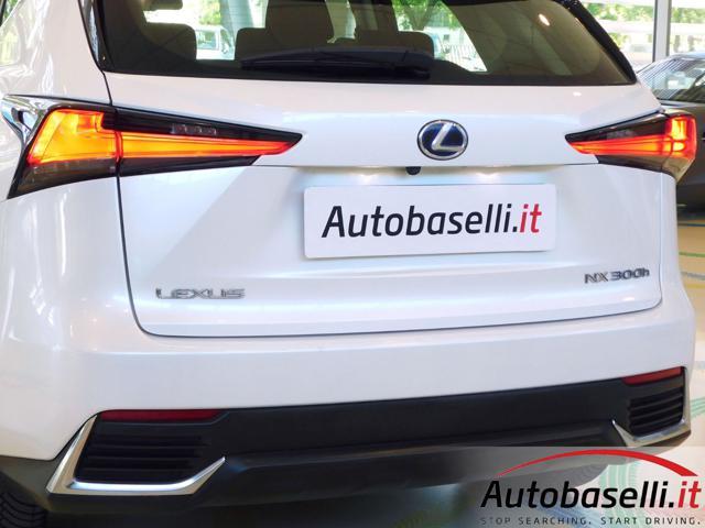 LEXUS NX 300 NX300H HYBRID BUSINESS AUTOMATICA CVT