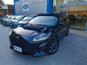 Ford Kuga 1.5 Ecoblue 120cv St-Line