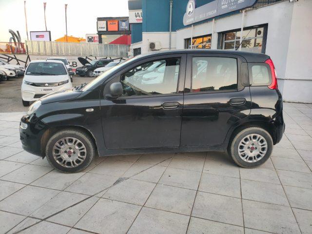 FIAT Panda 1.2 69 Cv Neopatentati