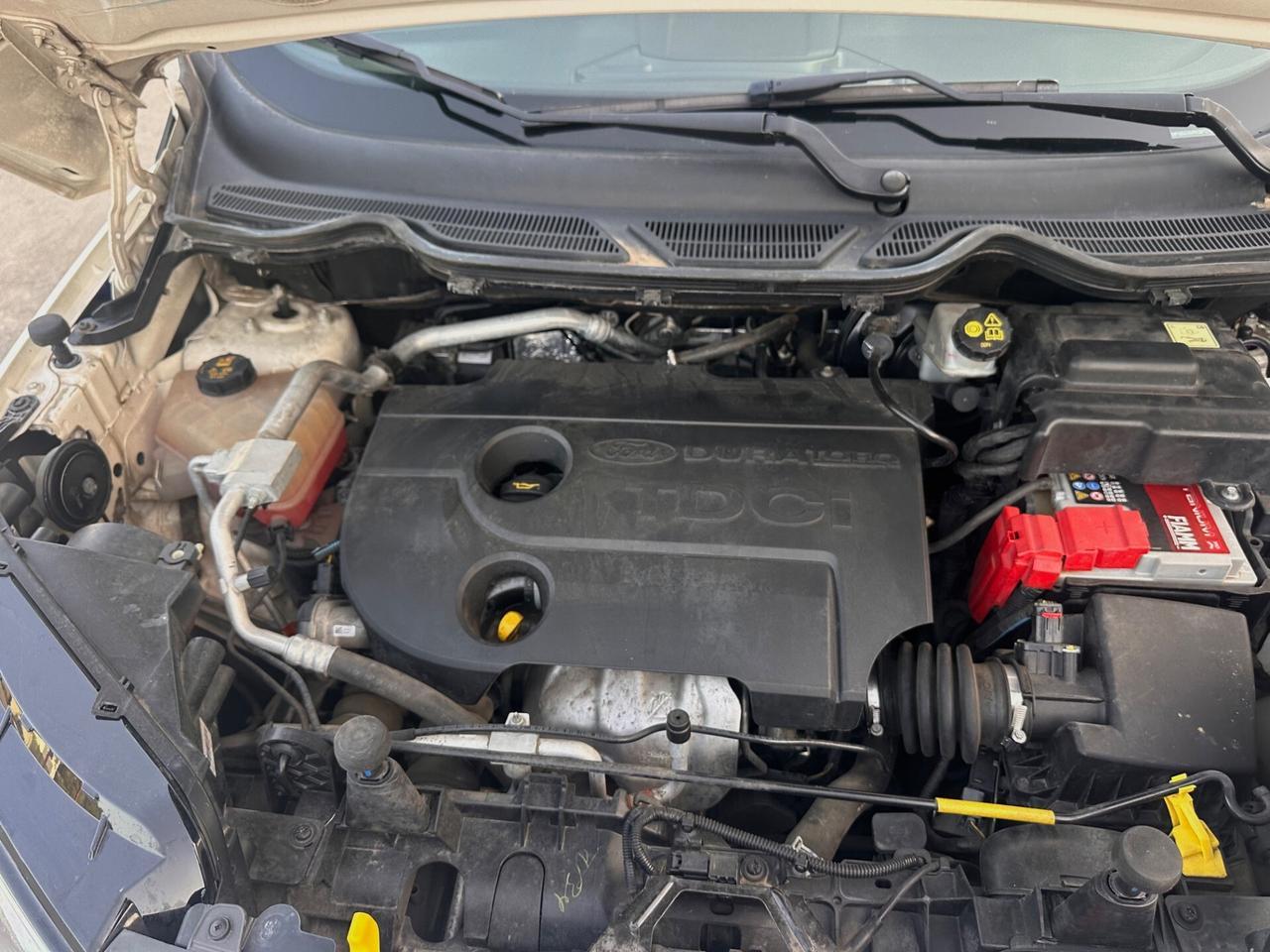 Ford EcoSport 1.5 TDCi 90 CV Titanium NEOPATENTATI ‘15