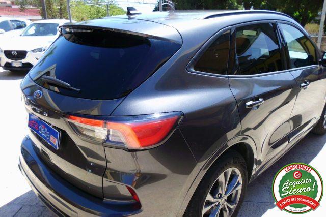 FORD Kuga 1.5 EcoBlue 120 CV 2WD ST-Line