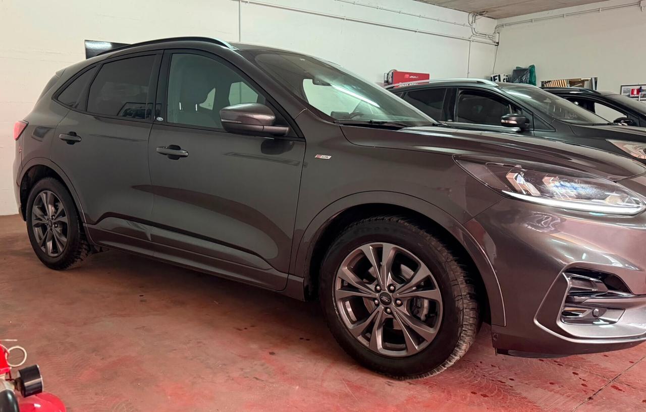 Ford Kuga 1.5 EcoBlue 120 CV 2WD ST-Line garanzia ford 7anni
