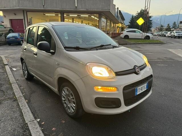 FIAT Panda 3ª serie Panda 1.2 EasyPower Easy
