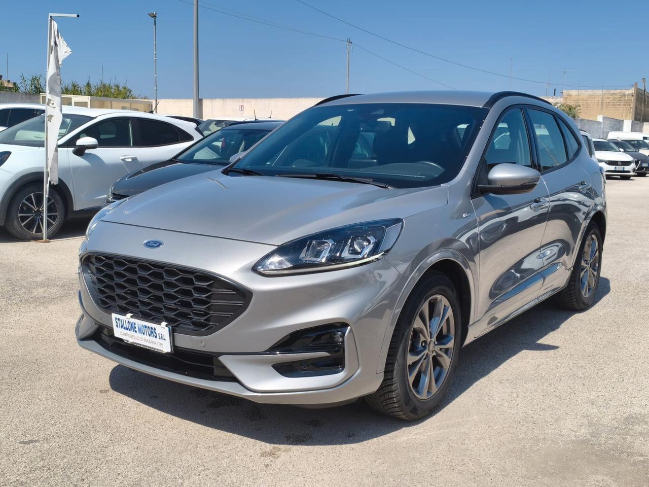 Ford Kuga 1.5 EcoBlue 120 CV 2WD ST-Line 2022