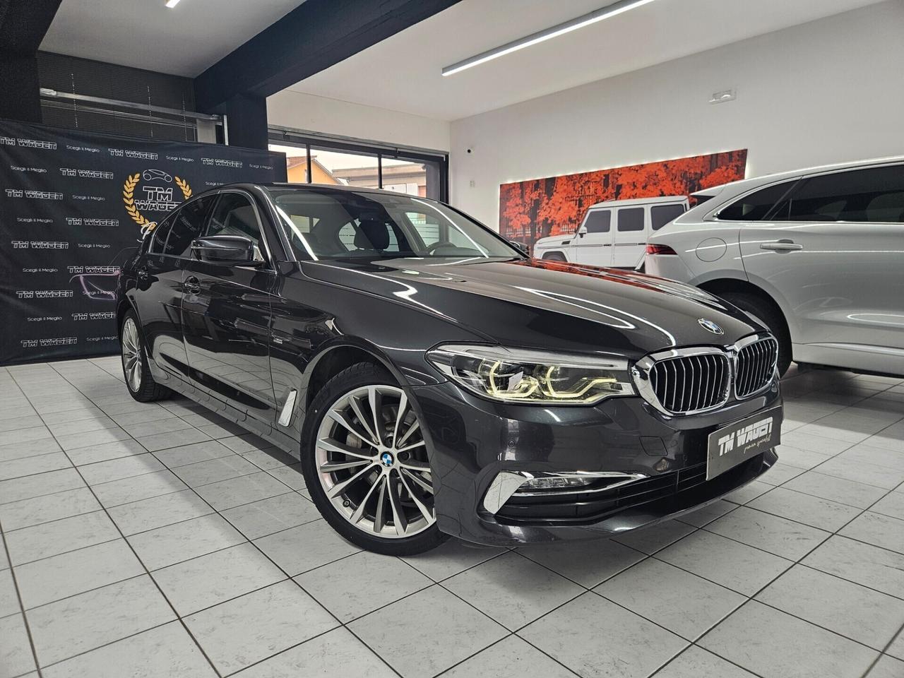 Bmw 530 530d Luxury