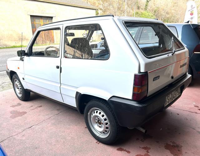 FIAT Panda 1ª serie 750 Young ( LA PANDINA ) 327 4425768