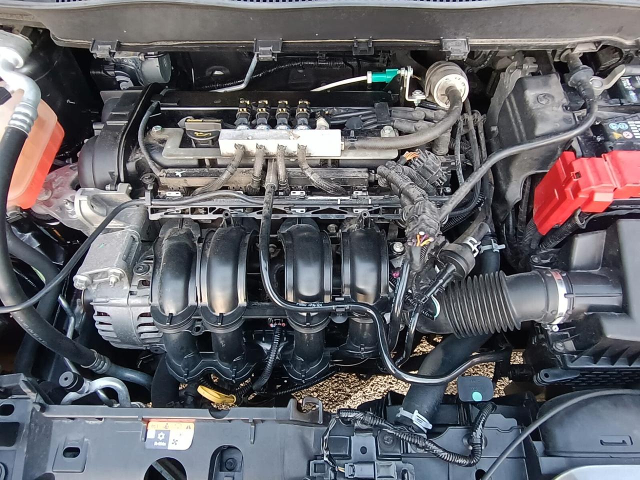 Ford B-Max GPL Casa Madre 2036 64950kM