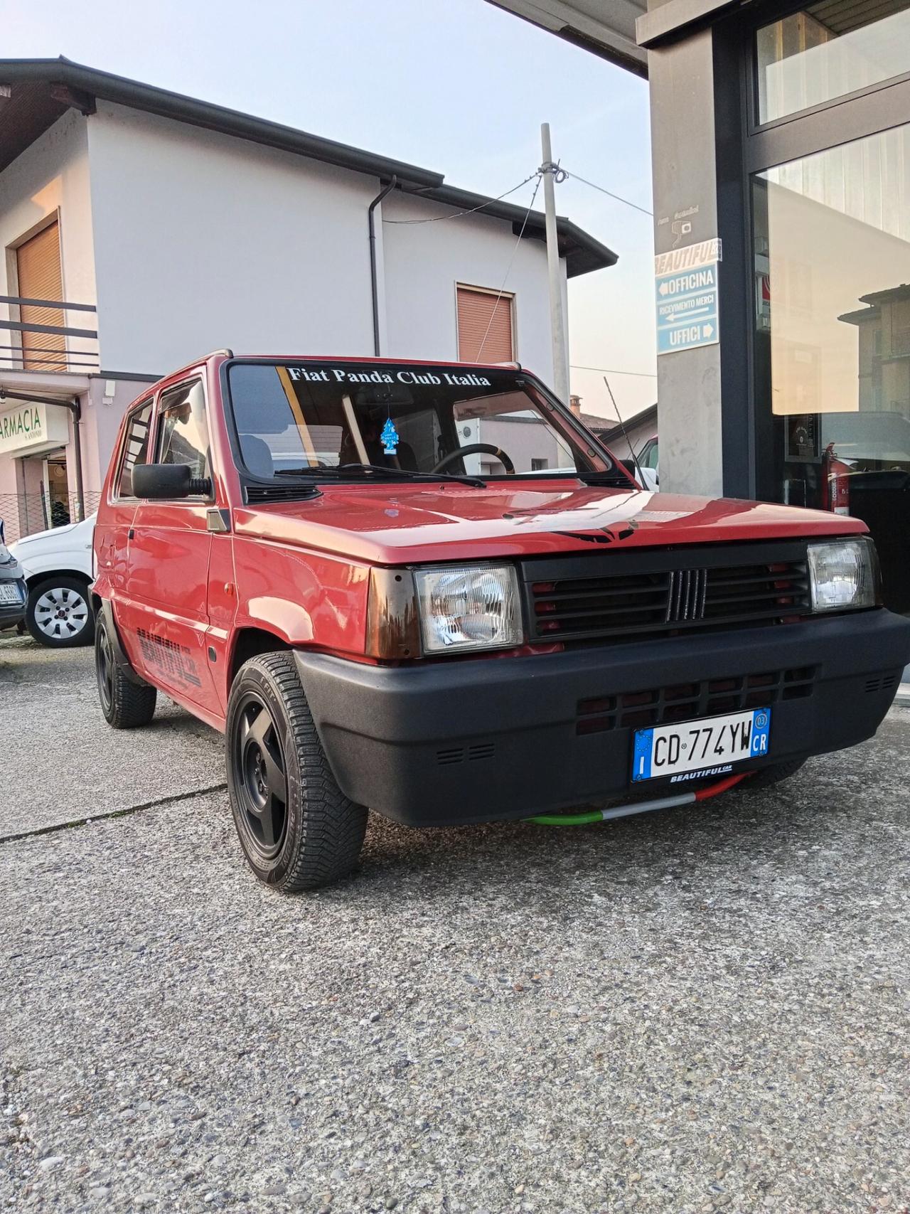 Fiat Panda 1100 i.e. cat Young
