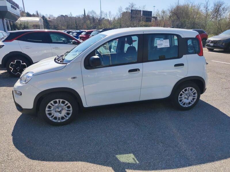FIAT Panda New Serie 7 1.0 70cv HybridPanda