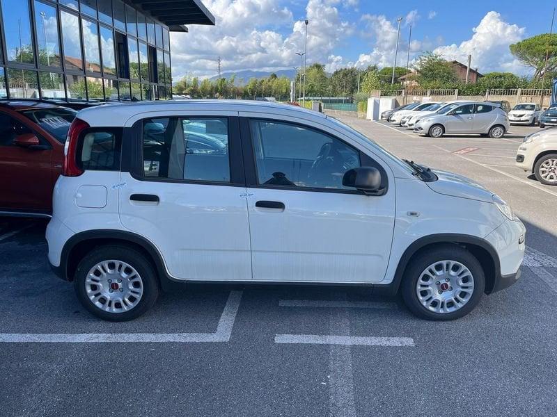 FIAT Panda Panda 1.0 FireFly S&S Hybrid
