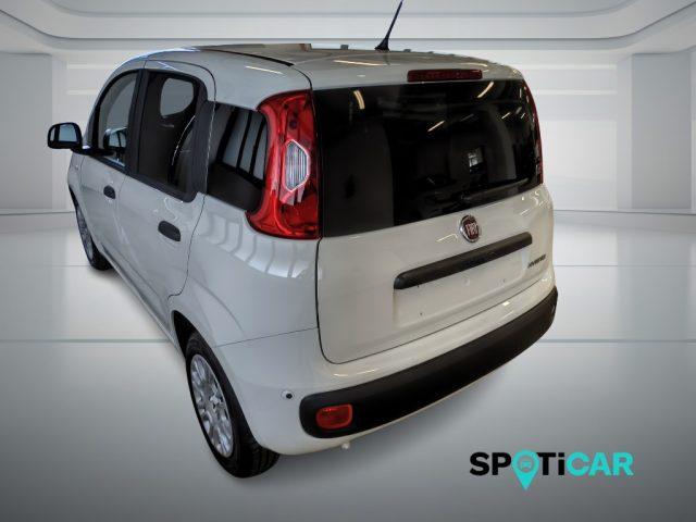 FIAT Panda Pandina Van Pop 1.0 Hybrid 65cv S&S -2 Posti